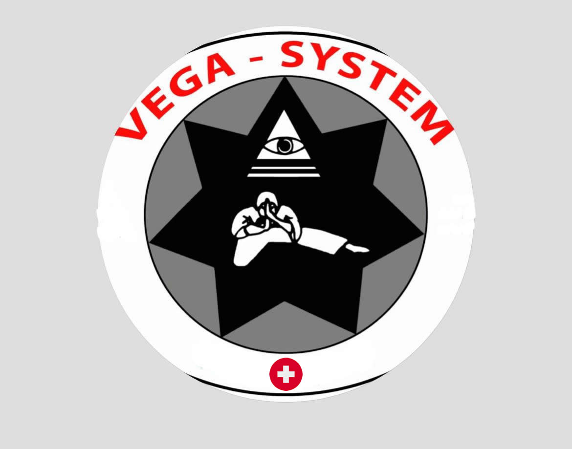 JUJITSUVEGASYSTEM-SVIZZERA